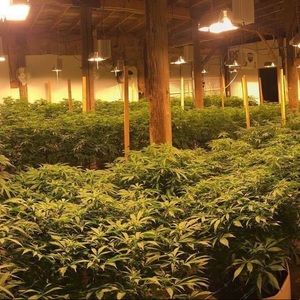 Meet your Posher, Brinton